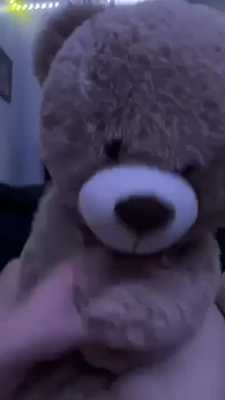 Teddy wanking me off