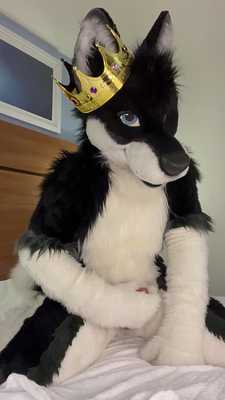 Eclipse pawing and cumshot