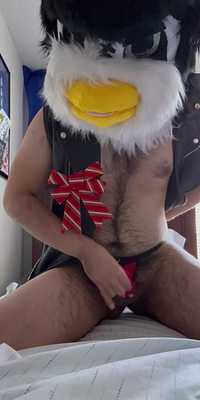 Leather bird playing with a present🐧🎁🍆