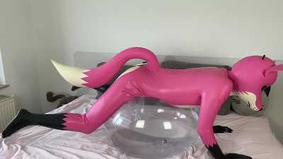 Pink fox fucking an SPH ball
