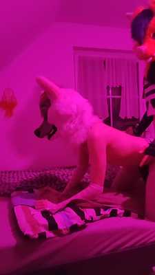 Twink fox Railing cute Husky 