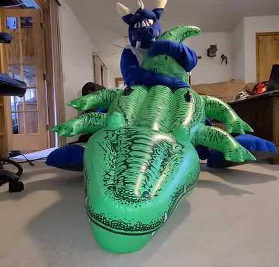 gator lovin