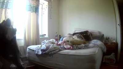 arkady and fang-gshep having fun at home