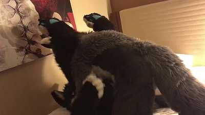 Bayer x Martini pt.1