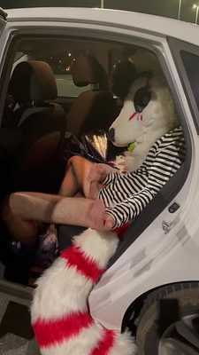 Fox paws off outside in a car!