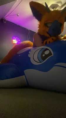 Derg has a whale of a time