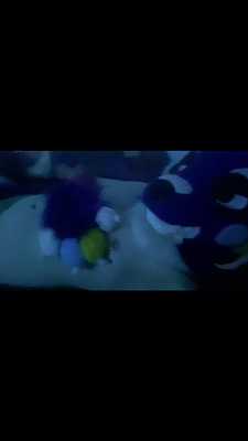 doing a lil body showoff video