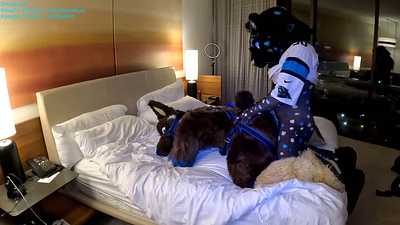 A Panther and a Wusky