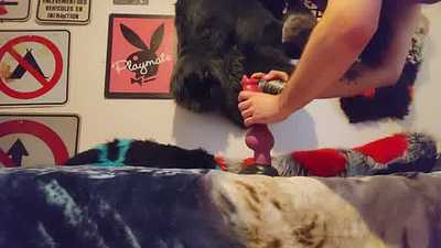 Skyway Play whit Rex