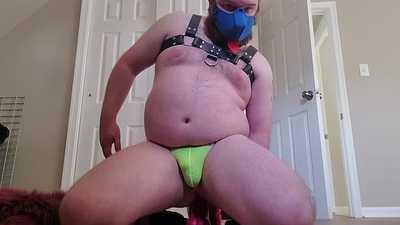 Pup rides a horse cock