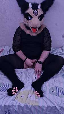 naughty goat shows his new high thighs