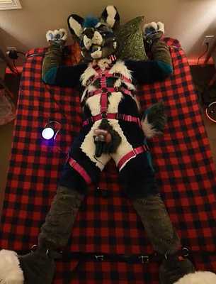 NOGASM for the Wolf. Left to the Machines.