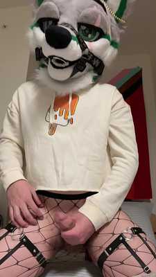 Just a quick paw off ;)