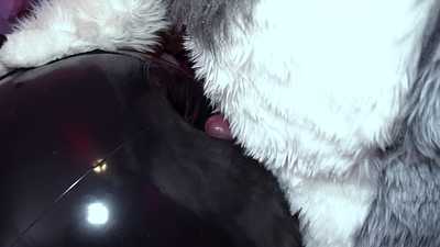 Fenny Reviews - SqueaKitty Arm Boppers NSFW