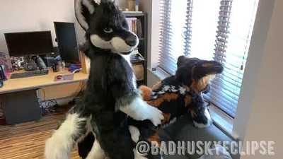 Eclipse fucks Pebbledog