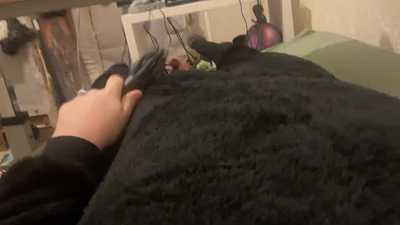 Using a vibrator in a red panda onesie.