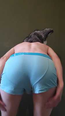 Striptease
