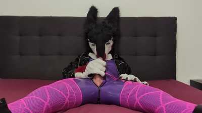 Drake in purple rubber
