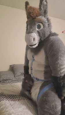 Donk Shoots Foal on Bed