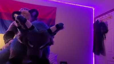 Cute puppy demands attention from gamer doggy