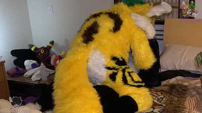 Pineapple Colada Pounces Jamie Sharp