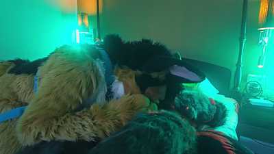 Muzzle service for Hydra