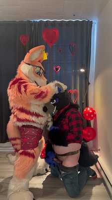 I had to paint that beautiful big bad wolf 🦊💦🐺