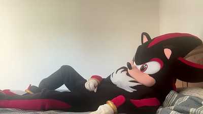 Shadow invites you to bed!