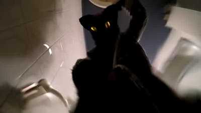 POV : you're the toilet