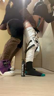 The Dobey catches a Kitty