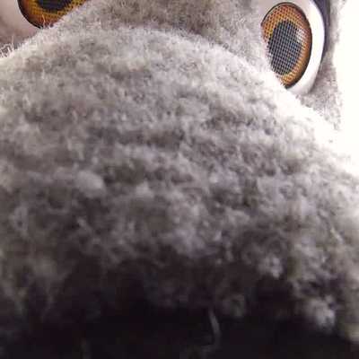 Fenny humping a plushie - FPV