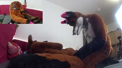 Foxing Around - Return of the Fox