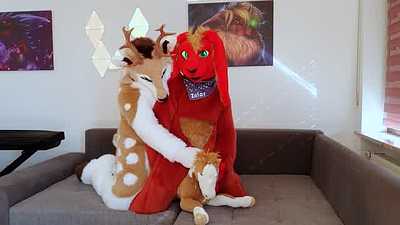 A bunny, a buck and a plush horse