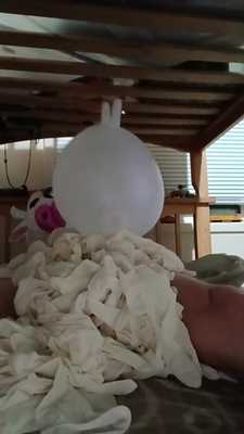 rubber glove cow milking