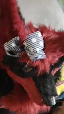 Huge muzzle painting