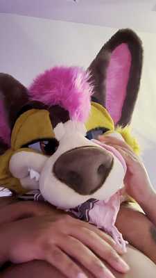 Big Puppy Kamira loves showing off his belly ☺️ 