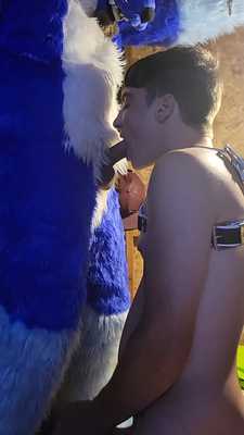 Sucking off the wolf