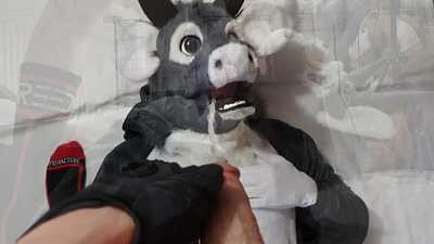 A puppy and his bull toy 2 (Watersports)