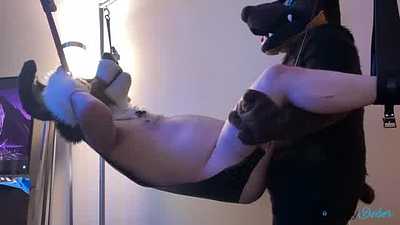 Daddy Dober x Dante @ Furrydelphia 2021