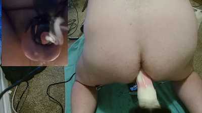 Caged bear creampied by Chance the Stallion on fuck machine :3