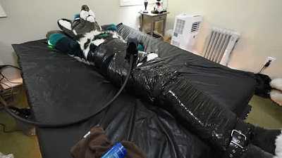 Bagged, Tied, Milked and Beyond