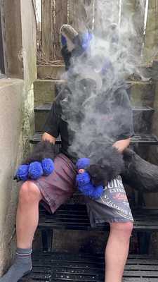 Skyway marks his territory 