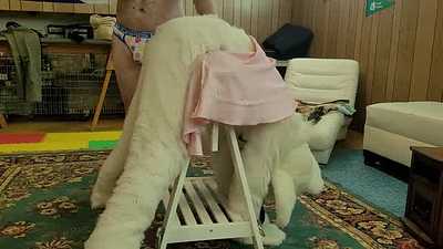 Sugar being taught a lesson