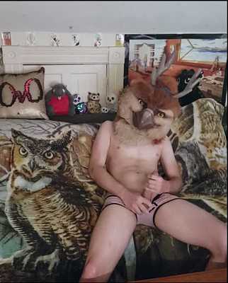 Owlalope Fapping in Undies