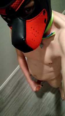 bratty puppy cums on the floor