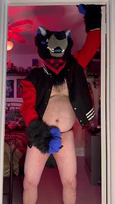 Big bad wolf show his belly and fap