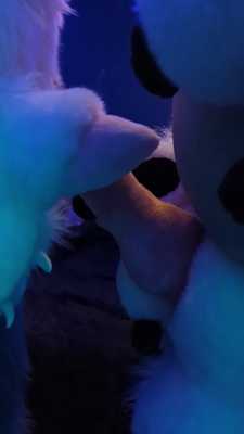 Horny Canine Frotting