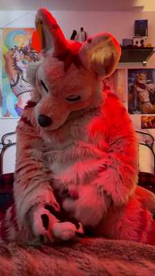 Thats what happen when a fox is too horny🦊❤️🥵