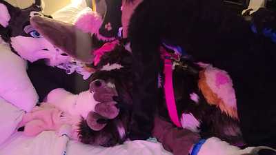 3 dogs 🐶one bed 💦