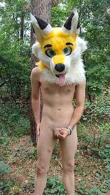 Fox pawing off in the forest